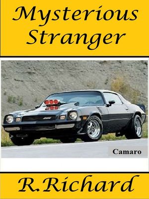 cover image of Mysterious Stranger